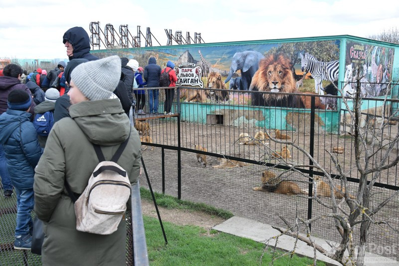ForPost - Новости : Владелец крымских зоопарков вспомнил: животных из Новой Каховки не вывозил