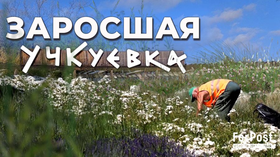 ForPost - Новости : Построенный на деньги Москвы севастопольский парк зарастает сорняками