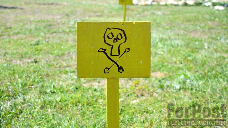 ForPost - Новости : Крымский лес одаривает невнимательных грибников и походников болезненными ожогами