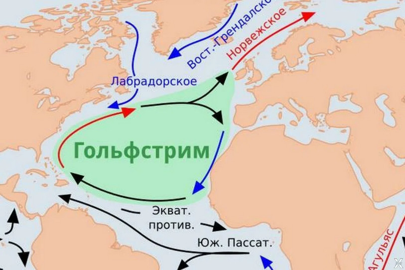 Ученые предрекли исчезновение системы Гольфстрим уже в 2025 году | ForPost