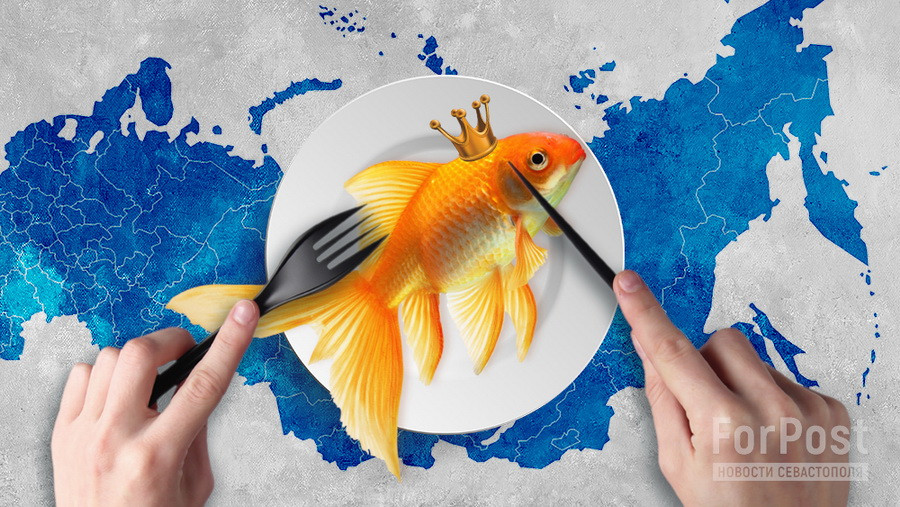 ForPost - Новости : Почему россияне стали забывать вкус рыбы