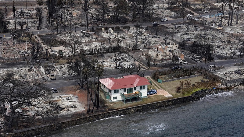 ForPost - Новости : Во время масштабного пожара огонь странным образом обошёл один дом