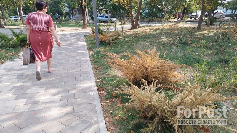 ForPost - Новости : «Московское» озеленение крымского сквера не пережило летнюю жару