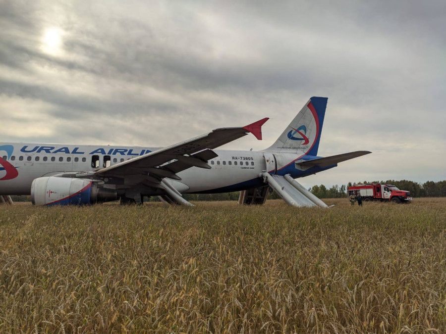 ForPost - Новости : Самолёт со 167 пассажирами экстренно сел прямо в открытом поле