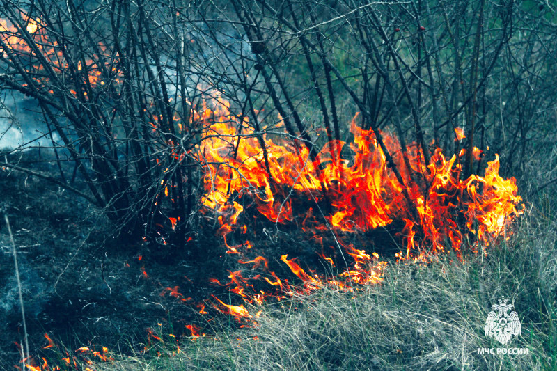 ForPost - Новости : В сельской зоне Севастополя горит лес