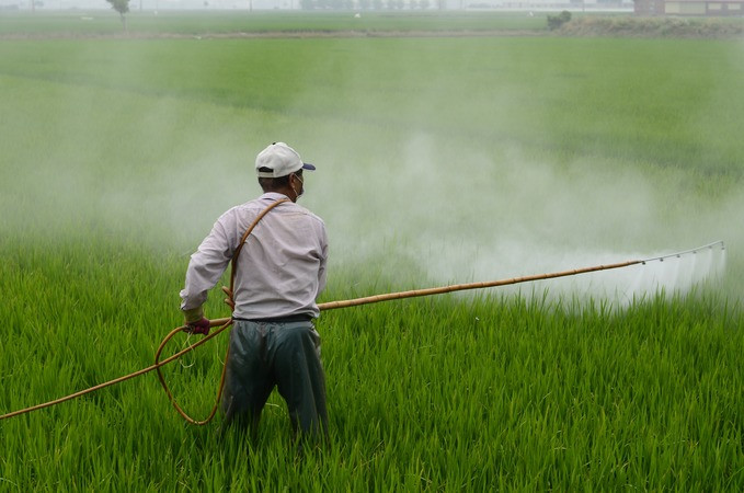 ForPost - Новости : Смертельно опасные помощники: зачем в Крыму ищут замену пестицидам