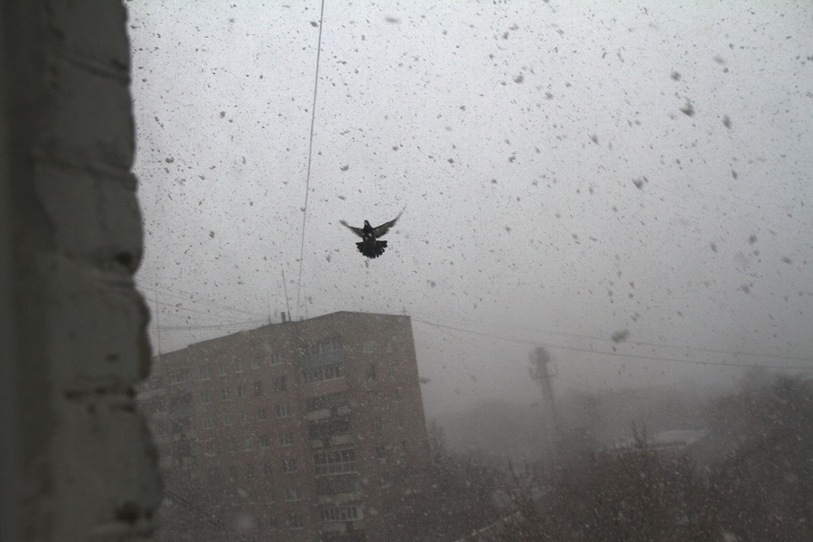 ForPost - Новости : «Чёрная метель» и снежная атака. Куда мчится мощный циклон с Чёрного моря