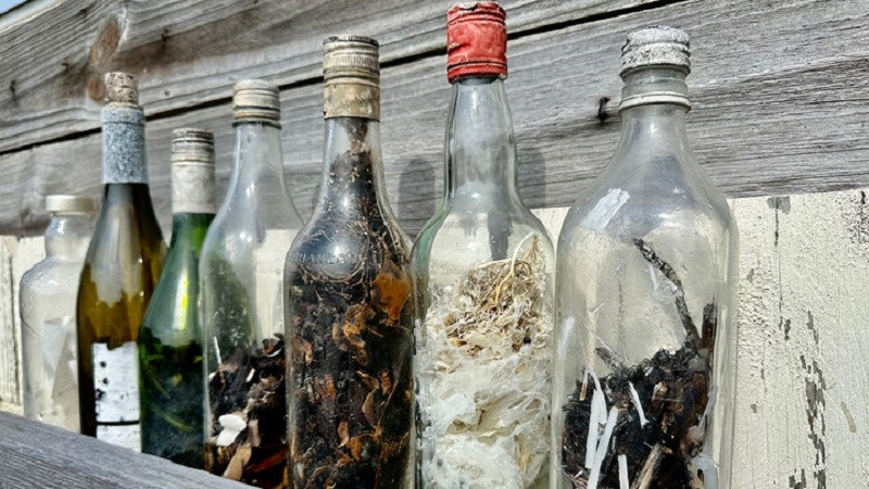 ForPost - Новости : Найденные на побережье «ведьмины бутылки» учёные советуют не открывать