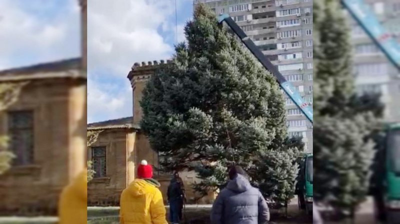 ForPost - Новости : Жители Крыма пытаются спасти упавшие в ураган деревья от распила