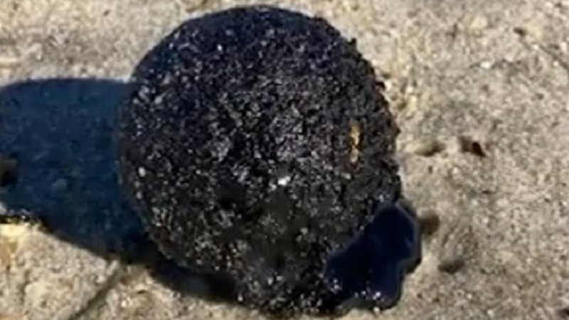 ForPost - Новости : В США взбудоражились из-за странных шариков, найденных на берегу
