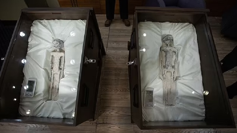 ForPost - Новости : В мумифицированных «пришельцах» нашли ДНК неизвестного вида 