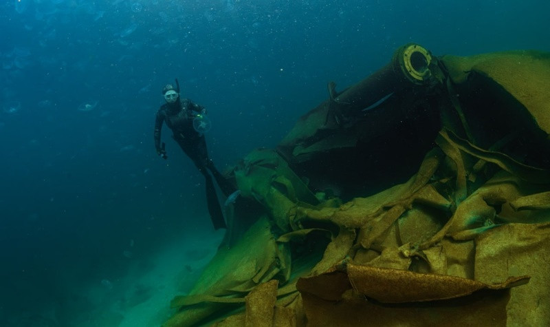 отзывы вк. смешные комментарии в вк. виджет комментариев вконтакте для сайта. ваши комментарии самой. спасибо за отзыв картинка.