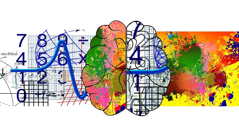 Учёные нашли разницу между работой мозга у мужчин и женщин