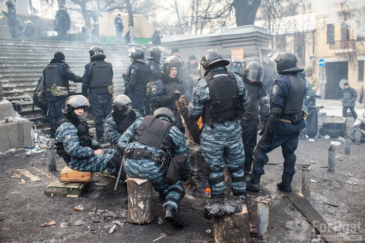 Крымский беркут. Крымский беркут