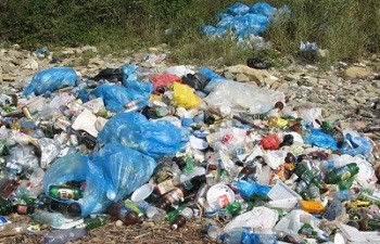 ForPost - Новости : В Севастополе борьбу с незаконными мусорками нужно вести комплексно