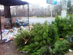 ForPost - Новости : За ёлку на помойке – положен штраф. Куда деть отслужившую новогоднюю красавицу?