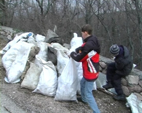 ForPost - Новости : Зачистка леса. Работают лесники и волонтеры.