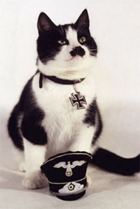 Кот Гитлер Фото