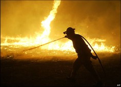 ForPost - Новости : В Севастополе произошло рекордное количество пожаров