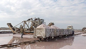 ForPost - Новости : В Крыму возобновили добычу розовой соли