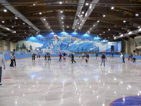 ForPost - Новости : В Севастополе достроят «Ледовый дворец» и построят несколько спортивных комплексов