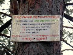 ForPost - Новости : На попятную. Правительство Севастополя раздаст лесные участки в частные руки "на 10 и более лет"