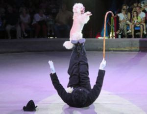 ForPost - Новости : На открытии севастопольского цирка выступил Чарли Чаплин