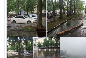 ForPost - Новости : Севсети#11: река времени, река в центре города и стакан семечек