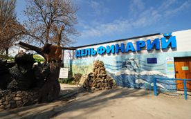 ForPost - Новости : Севастопольский дельфинарий может жить спокойно до мая