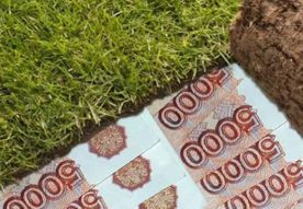 ForPost - Новости : Скандальный герой публикаций ForPost обвиняется в земельном мошенничестве