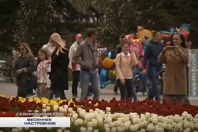 ForPost - Новости : Более сотни тысяч тюльпанов расцвели в центре Севастополя