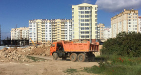 ForPost - Новости : В Севастополе просят сохранить больше сотни краснокнижных деревьев
