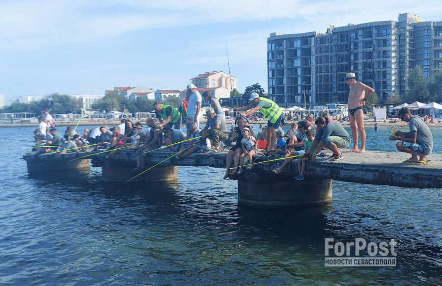 ForPost - Новости: Почему седеет рыжая борода рыбака Птички из Севастополя 