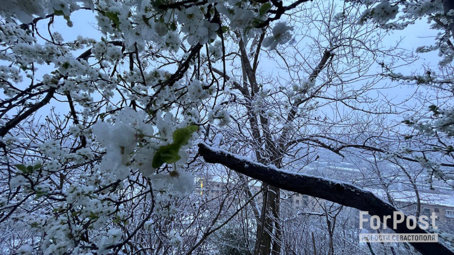 ForPost - Новости: Севастополь укутал почти апрельский снег 