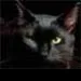 Profile picture for user vnuck