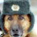 Profile picture for user Прохор Копейкин