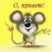 Profile picture for user вредная мышка