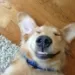 Profile picture for user missmouse