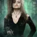 Profile picture for user Анастасия Калько