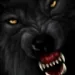 Profile picture for user 2Black-rose