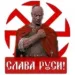 Profile picture for user семибор