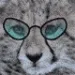 Profile picture for user катран