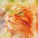 Profile picture for user Nata N
