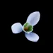 Profile picture for user М_подснежник