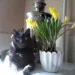 Profile picture for user Анна Аликова