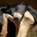 Profile picture for user Клайпеда- транзит