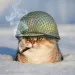 Profile picture for user Kafa4146