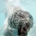 Profile picture for user Tao
