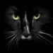 Profile picture for user 109