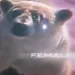 Profile picture for user Северный1